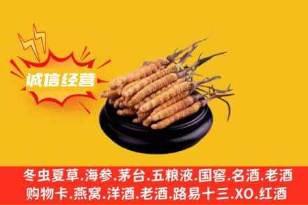 嘉峪关永昌县回收冬虫夏草